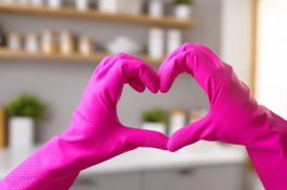 Smith Girls Cleaning CARES Smith Girls Cleaning CARES